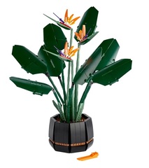 Lego Creator Expert 10289 Strelície královská